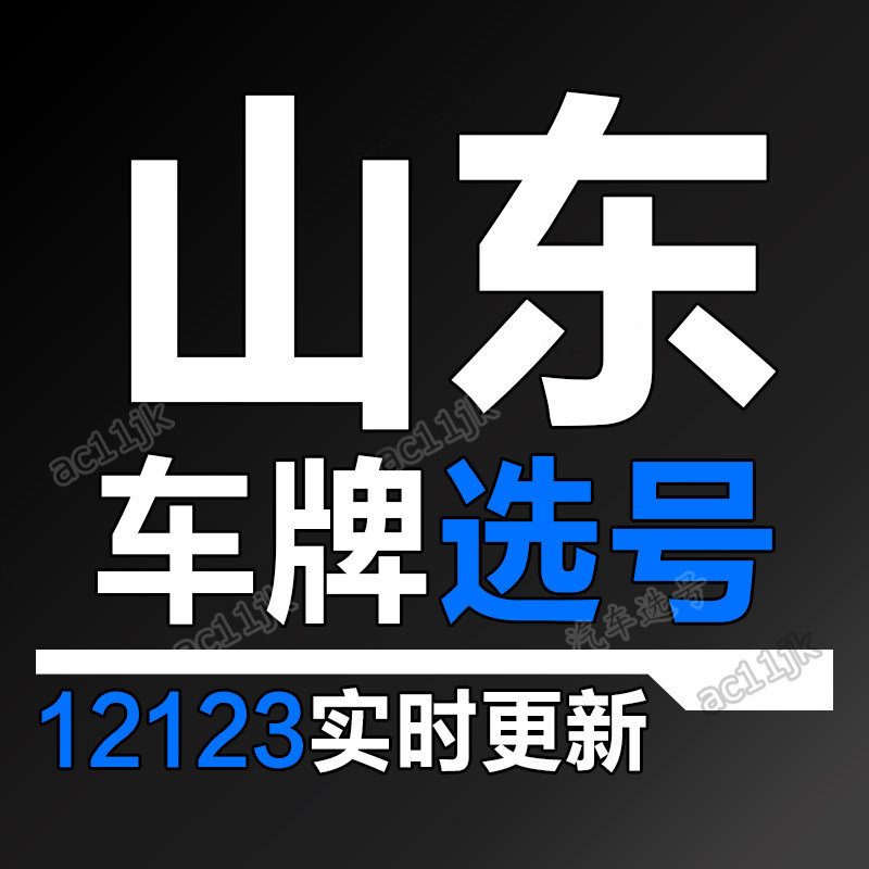 济南青岛莱芜济宁汽车选号新能源车牌号自编自选号数据库占用查询