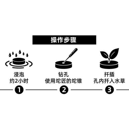 水草定植坨基质植物育苗块扦插块DIY微景观种植土无土种植分种 - 图2