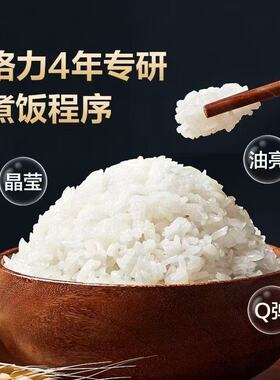 格力4L不锈钢0涂层2-8人IH电饭煲