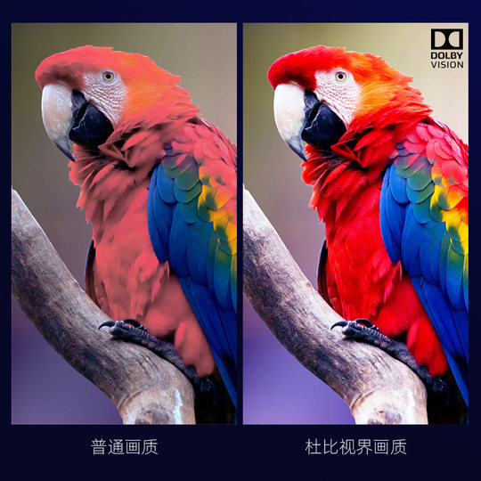 G5300 upgraded version 4KUHD Blu-ray player