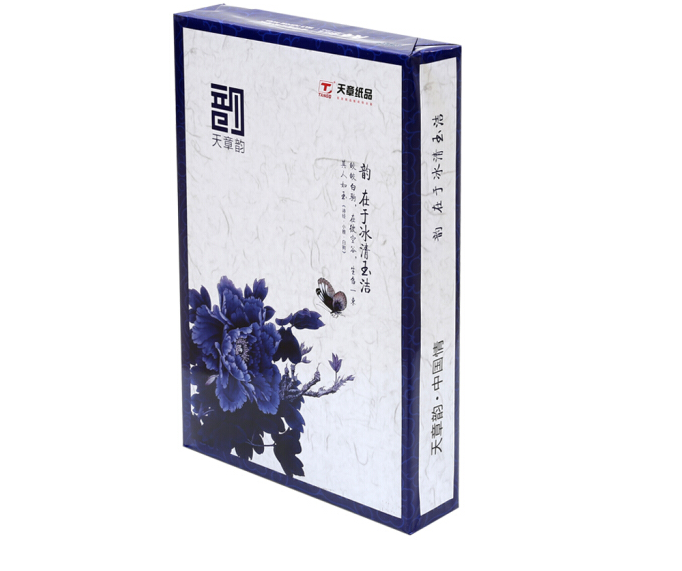 海龙a4复印纸70克80g 500张/包 5包/箱 a4纸打印白纸办公纸天章韵-图3