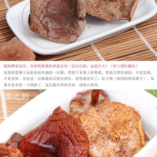 云之野生菌奶浆菌500g蘑菇菌包干香菇菌菇类煲汤干货山珍全国包邮 - 图0