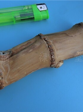 天然竹根竹鞭竹子竹节手工竹编道具手杖儿童手把件摆件印章原料21