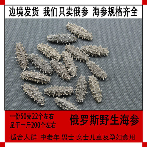 俄罗斯海参足干200头野生海参淡干海参六排刺参进口海参50克包邮 - 图0