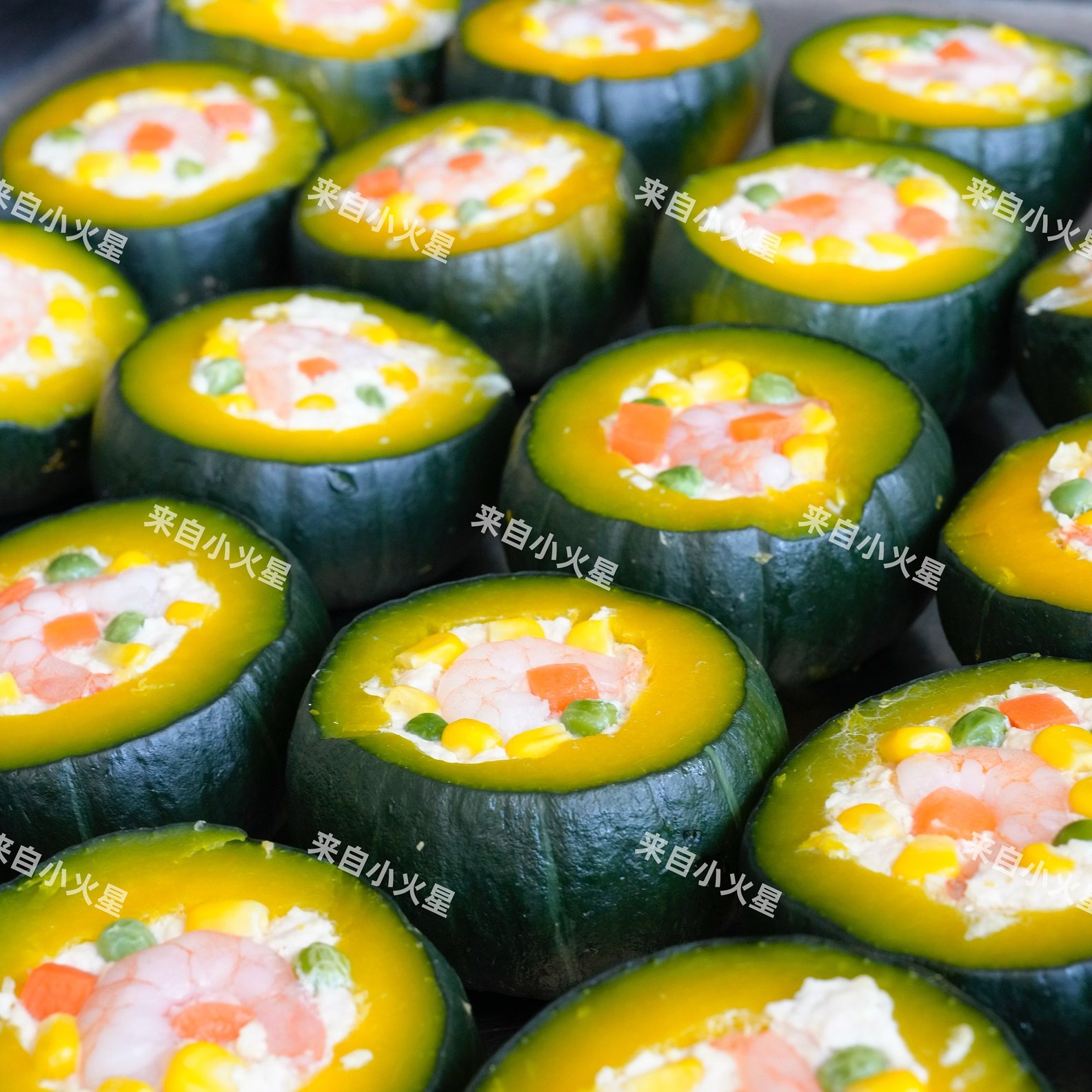 来自小火星自制猫狗湿粮鲜食餐包零食鸡肉虾仁蔬菜南瓜盅含维生素,淘宝优惠券,粉丝福利购,淘宝优惠卷