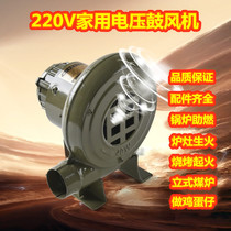 Electric blower Home 220V Flame Cooker Bursting Miflower Cafeteria Stove Burning Stove Blow Carbon Barbecue Hair Dryer