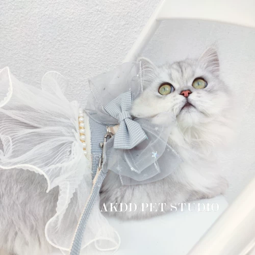 Оригинальные домашние кошки ручной работы, собаки, фея выходят из жилета, тяговая веревка, чтобы вырваться из маленьких юбок принцессы