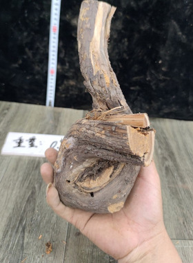 山西太行崖柏原木摆件根雕工艺品