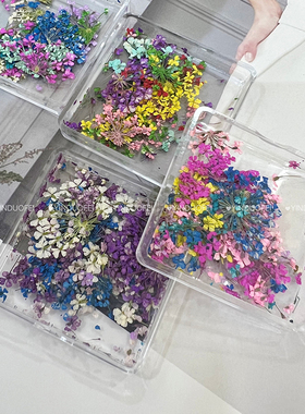 茵哚妃美甲干花指甲装饰品