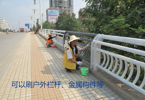 乐妍 Бренд деревянный лак -кольцо -защищающая вода краска против коррозионной краски наружная металлическая гликолевая кислота Магнитная наружная белая белая