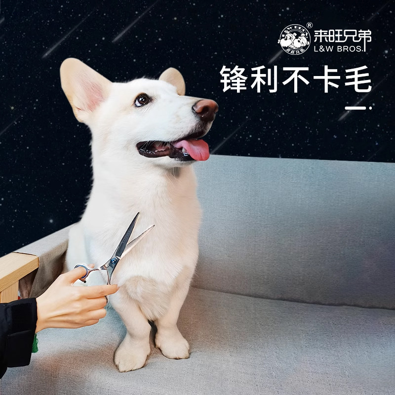 来旺兄弟宠物弯剪 狗狗剪刀剪子泰迪美容剪毛工具7寸上下翘弯剪刀,淘宝优惠券,粉丝福利购,淘宝优惠卷