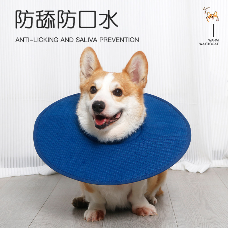 宠物伊丽莎白圈狗狗术后防舔防抓咬项圈中小型犬柯基头套绝育脖圈,淘宝优惠券,粉丝福利购,淘宝优惠卷