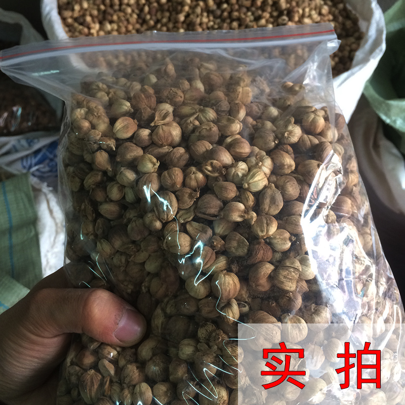 白蔻500g 包邮 无硫白扣白豆蔻白寇仁 中药材香料干货调料大全 - 图2