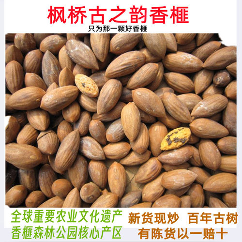 坚果干果特好剥开口香榧2025新货正宗诸暨枫桥特级香榧子500g - 图0