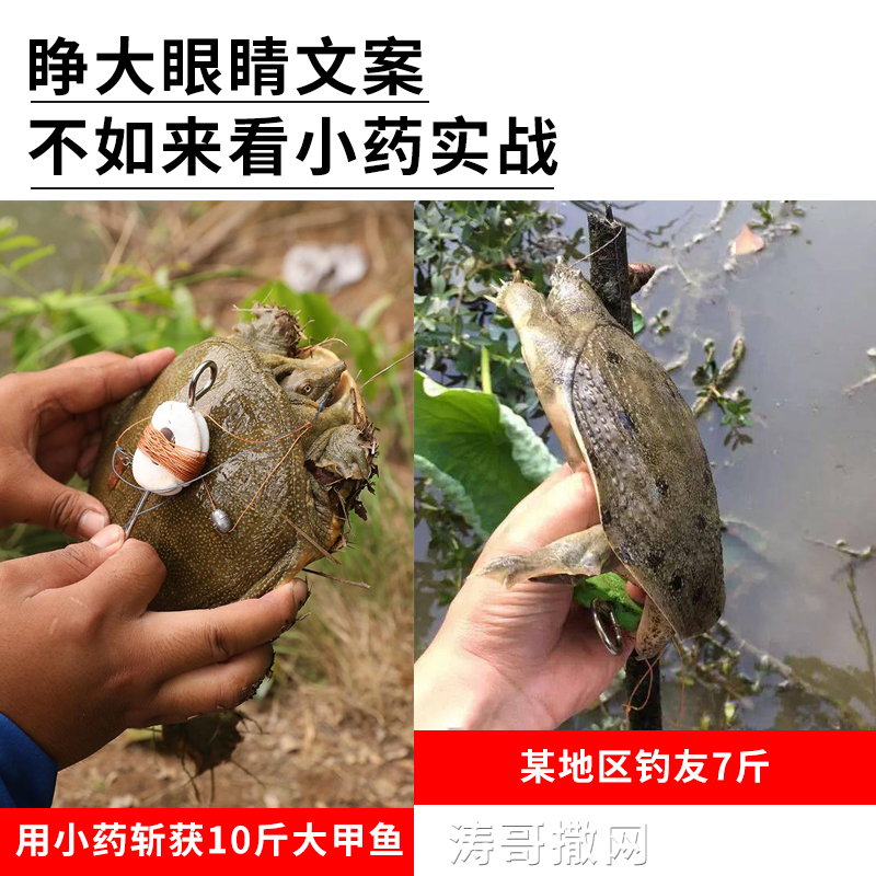 钓甲鱼小药乌龟老鳖药水野钓饵料饵药诱食剂钓王八诱饵小药添加剂 - 图0