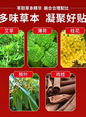 百年扁氏艾草颈椎贴肩颈椎疼痛贴