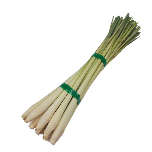 不带叶新鲜柠檬香茅草 无叶柠檬草 泰国冬阴功汤调料 香茅 - 图3