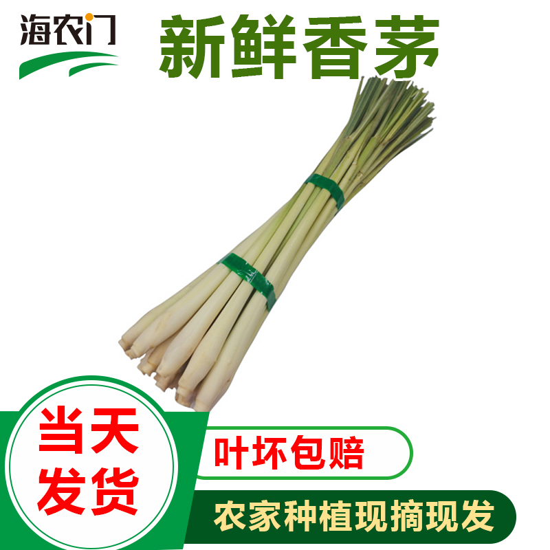 不带叶新鲜柠檬香茅草 无叶柠檬草 泰国冬阴功汤调料 香茅 - 图0