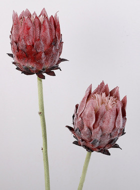 单支北欧蓟假花家居婚礼装饰摆件婚庆摄影道具仿真帝王花仿真花