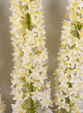 仿真狐尾草飞燕草客厅假花摆件人造花家居装饰狐尾花仿真花