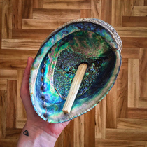 New Zealand Black Gold Bowl shell Colorful Blue Abalone Shell White Sage burnout Grass Burning tray Tools Purification of Space vessels