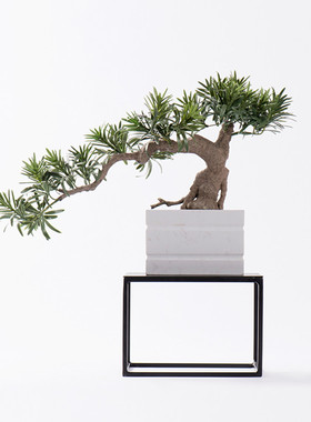 新中式风盆景别墅家居客厅罗汉松