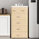 Thickened European style home living room atmospheric high-end storage cabinet