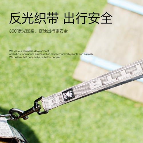 Финская Hurtta Tuo Tuo Casual Direction Bands с маленькими средними большими собаками и собаками Золотые волосы