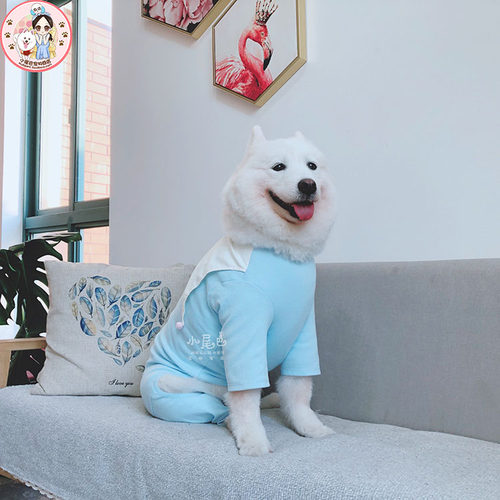 【清仓闭店】中大型犬萨摩金毛大狗小丑春秋保护髋关节四脚衣服 - 图2