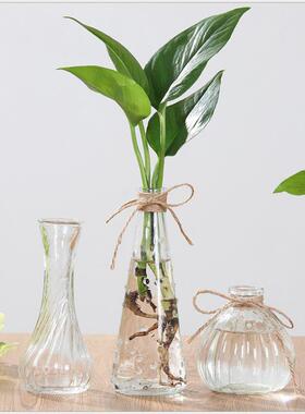 透明玻璃瓶水培植物绿萝干花插花