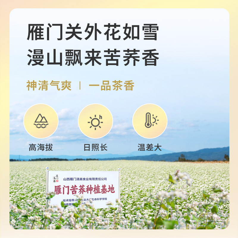 雁门清高有机黑苦荞茶叶山西雁门关全株胚芽正品荞麦茶一袋喝两月-图2