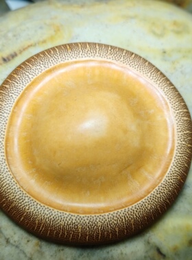 手工竹制工艺品老竹子异形奇形怪状竹隔把玩摆件案头雅件原生态