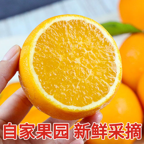 湖南麻阳冰糖橙新鲜水果10斤包邮现摘当季时令新鲜水果超甜孕妇9 - 图2
