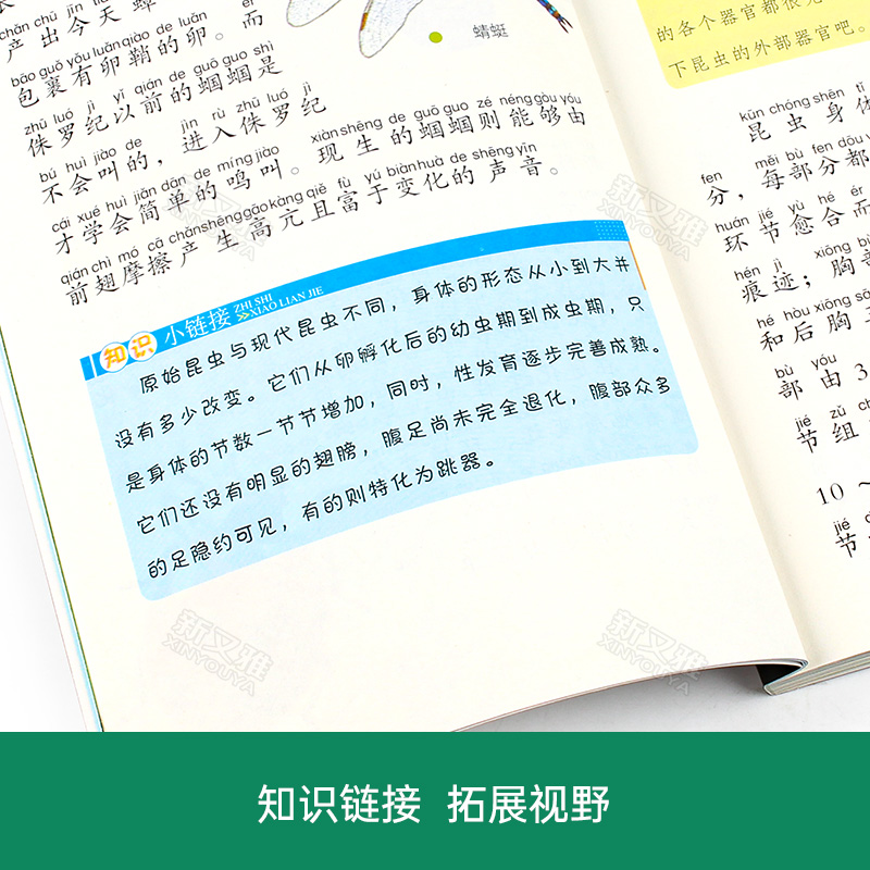 百科全书小学生一年级课外书非必读小学二带拼音书籍儿童读物小孩看的绘本故事书5一6岁以上阅读课外兴趣适合一年新经典书目 - 图2