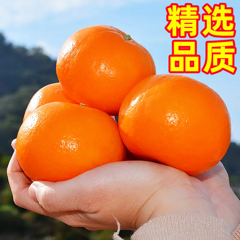9斤特大沃柑正宗广西沃柑很甜大果新鲜橘子水果皇帝橘柑桔子,淘宝优惠券,粉丝福利购,淘宝优惠卷