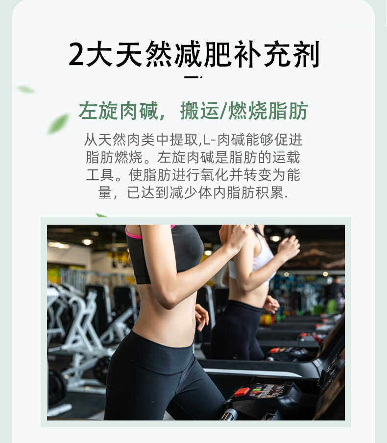 仁和左旋肉碱荷叶绞股蓝胶囊鸿悦本草牌减排燃油瘦脂肥品牌正品,淘宝优惠券,粉丝福利购,淘宝优惠卷