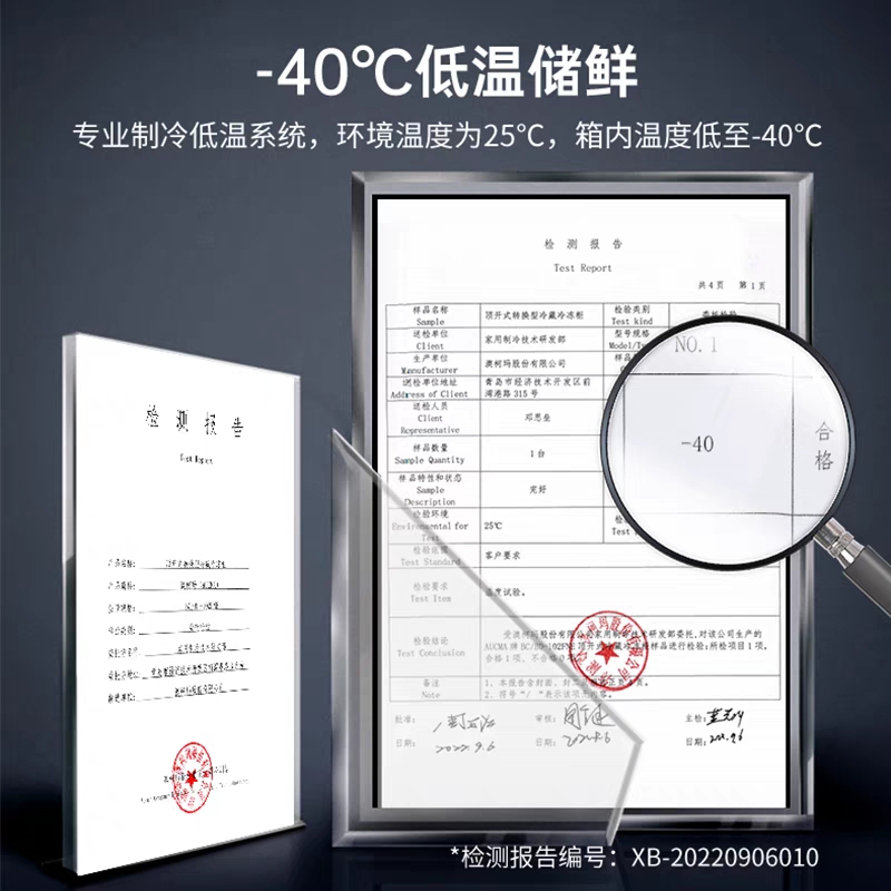 澳柯玛速冻零下-40℃超低温冰柜103升143升203升一级能效节能冷柜-图1