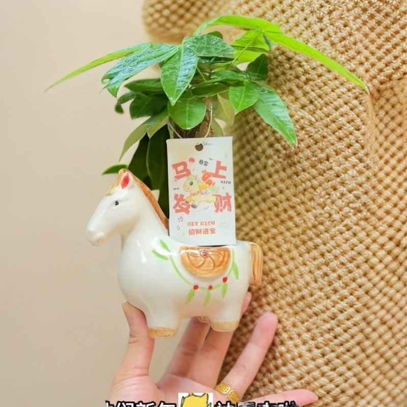 2026新款马到成功花盆手绘马花盆创意多肉花盆粗气陶瓷盆卡通盆,淘宝优惠券,粉丝福利购,淘宝优惠卷