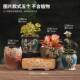 Pastoral set succulent flowerpot ceramic retro