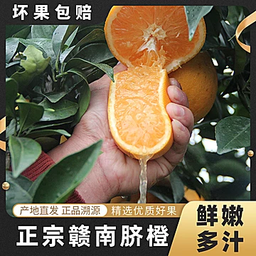 一品优精品赣南脐橙5斤[2元优惠券]-寻折猪