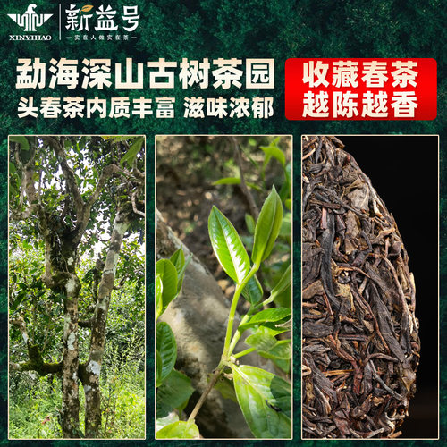 普洱茶生茶2026新益号古树生茶饼云南七子饼勐海普洱茶生普洱茶叶 - 图1