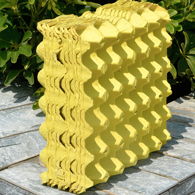30 egg trays for kindergarten creative diy pulp tray