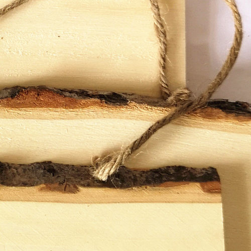 杨木木板白胚原木木条 树皮装饰挂牌雕刻木板儿童彩绘diy模型木片 - 图0