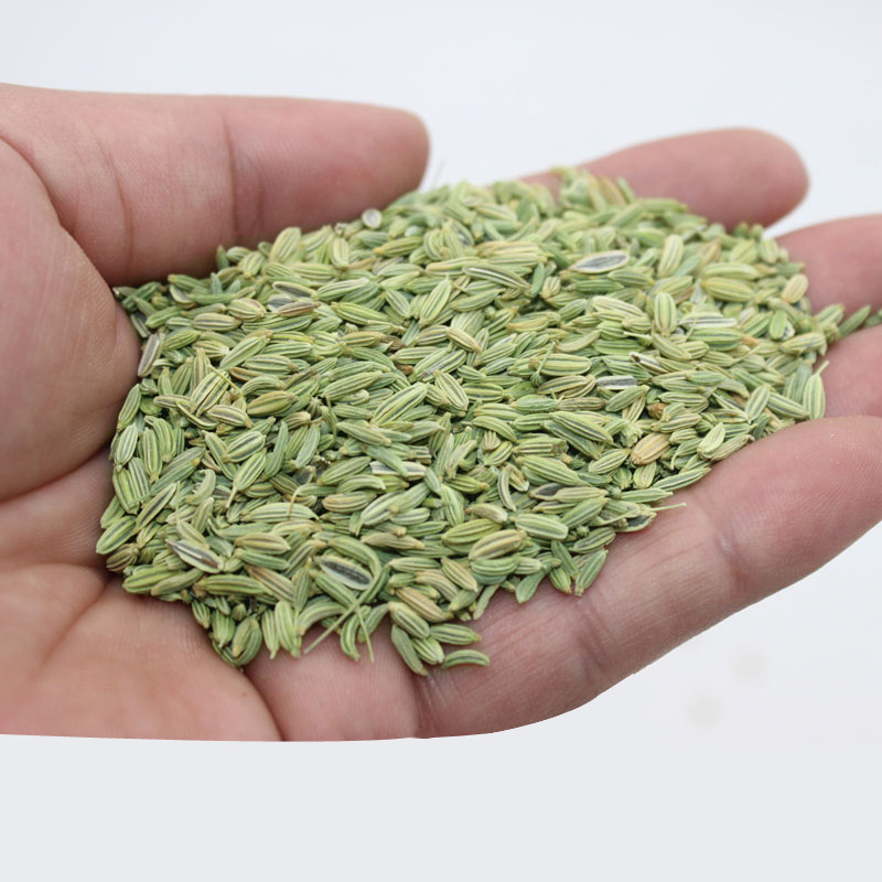 2023年新货产新小茴香籽手选精选茴子500g250克包邮调香料卤料 - 图3