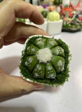仿真仙人球，粘土制作，制作不易，难免有手工痕迹，介意勿拍