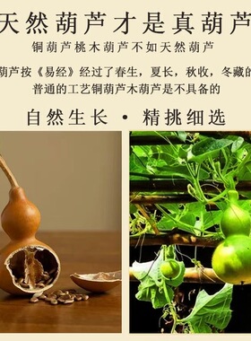 天然小葫芦挂件挂饰客厅玄关电视柜卧室大门装饰葫芦串绿萝塑料叶