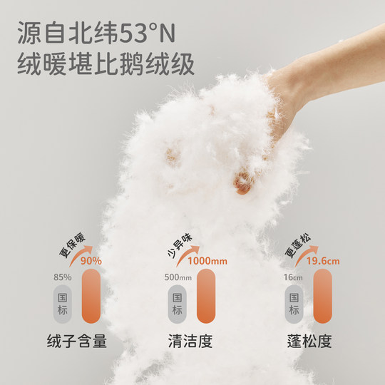 David Bella boys and girls down liner