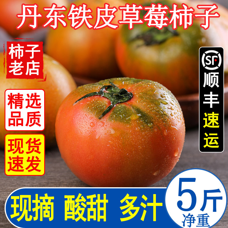 丹东铁皮草莓柿子即食新鲜盘锦碱地自然熟绿腚正宗西红柿水果番茄