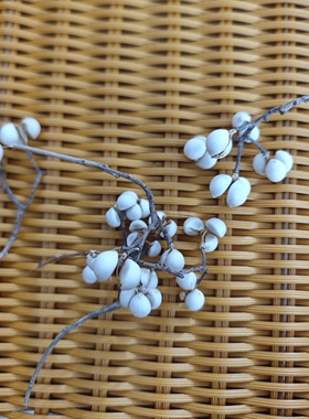 小白果乌桕果diy手工插花松树装饰树枝植物圣诞树北欧风花束干花
