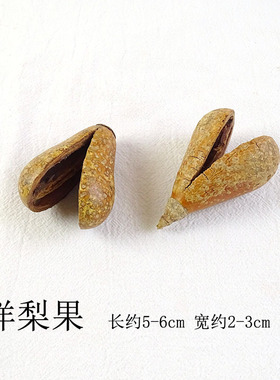天然植物洋梨果壳豆荚相框配件
